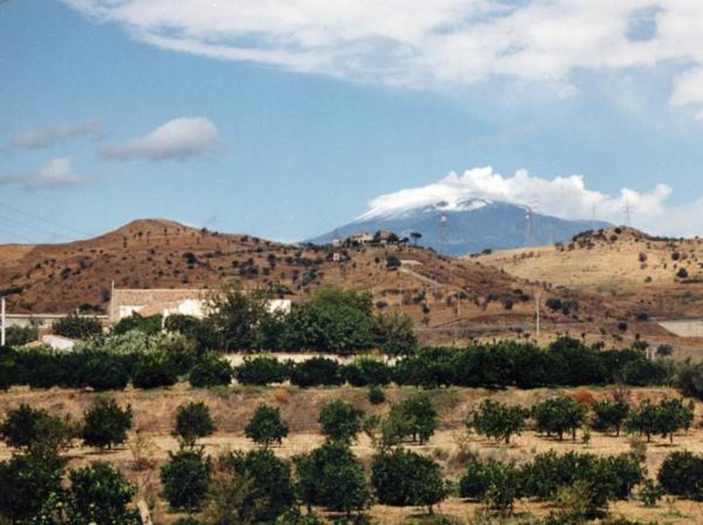 Agriturismo Ruvitello 米斯泰尔比安科 外观 照片